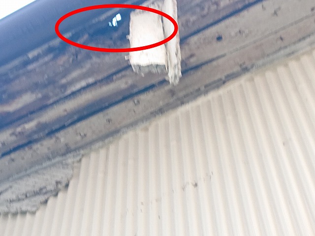 天井に光が見える